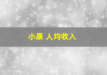 小康 人均收入